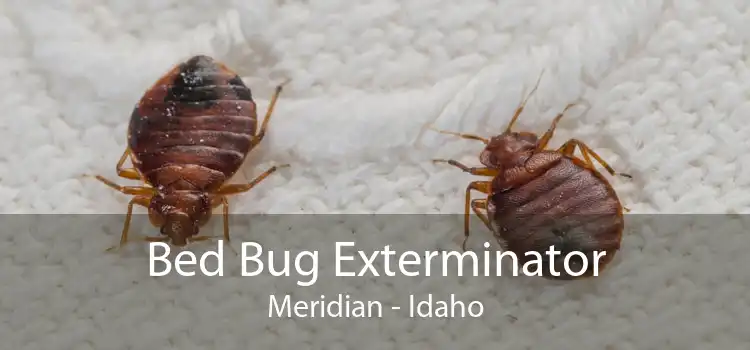 Bed Bug Exterminator Meridian - Idaho