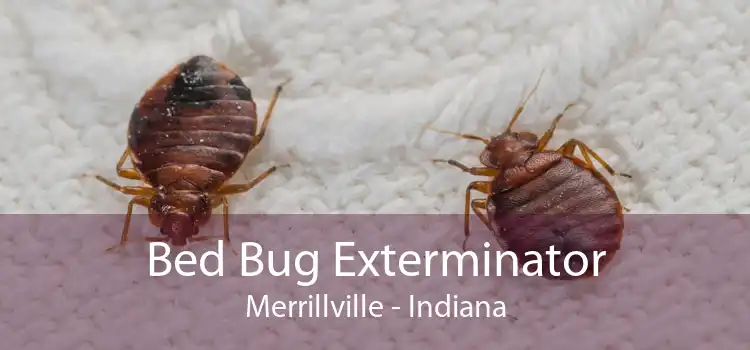 Bed Bug Exterminator Merrillville - Indiana