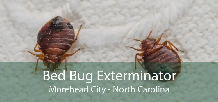 Bed Bug Exterminator Morehead City - North Carolina