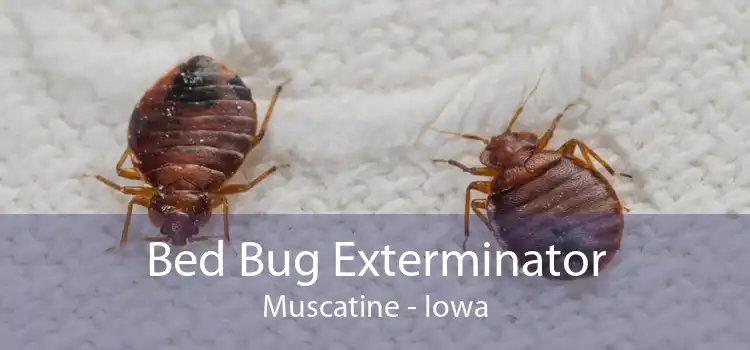 Bed Bug Exterminator Muscatine - Iowa