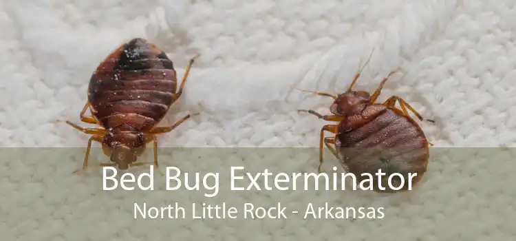 Bed Bug Exterminator North Little Rock - Arkansas