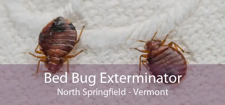 Bed Bug Exterminator North Springfield - Vermont