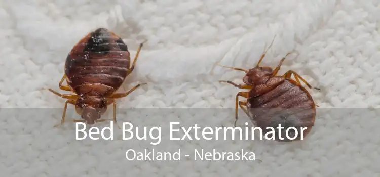 Bed Bug Exterminator Oakland - Nebraska