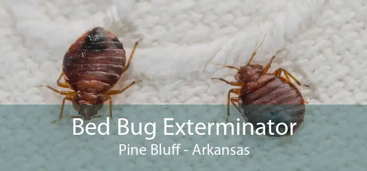 Bed Bug Exterminator Pine Bluff - Arkansas