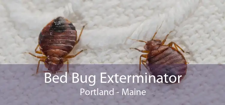 Bed Bug Exterminator Portland - Maine
