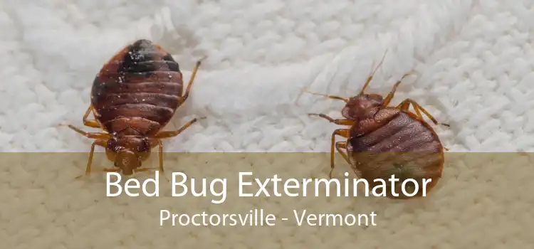 Bed Bug Exterminator Proctorsville - Vermont