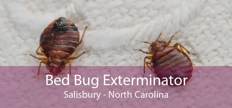 Bed Bug Exterminator Salisbury - North Carolina