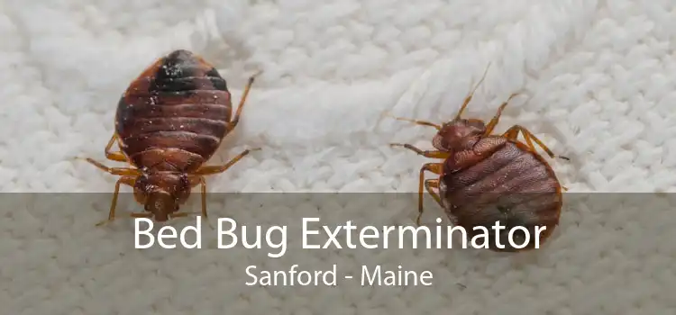 Bed Bug Exterminator Sanford - Maine