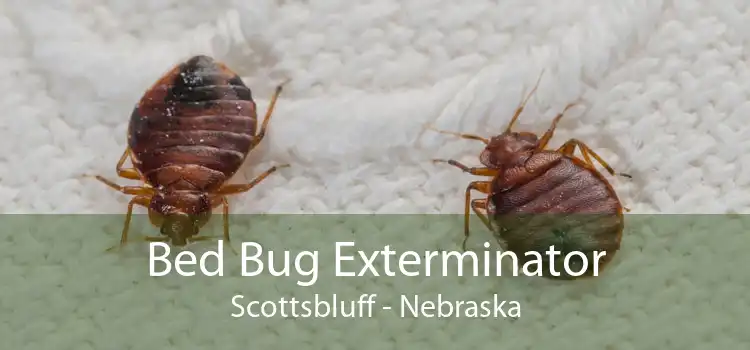Bed Bug Exterminator Scottsbluff - Nebraska