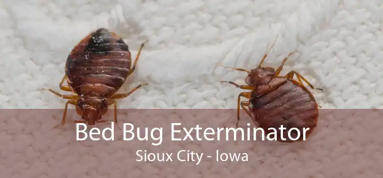 Bed Bug Exterminator Sioux City - Iowa