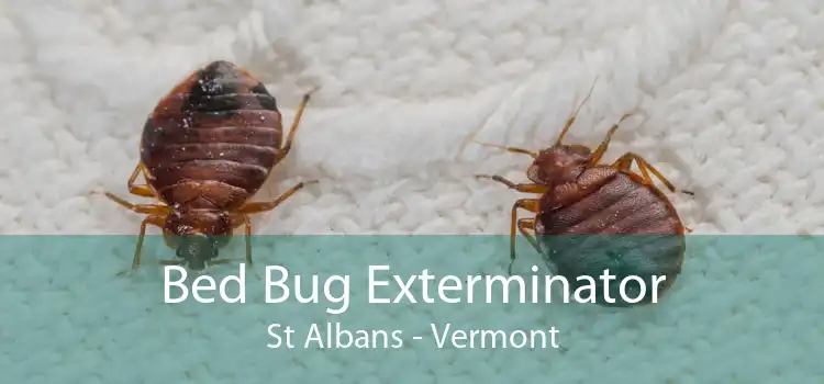 Bed Bug Exterminator St Albans - Vermont