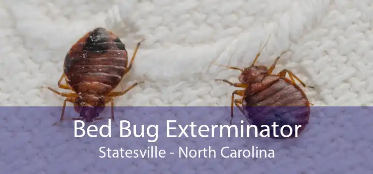 Bed Bug Exterminator Statesville - North Carolina