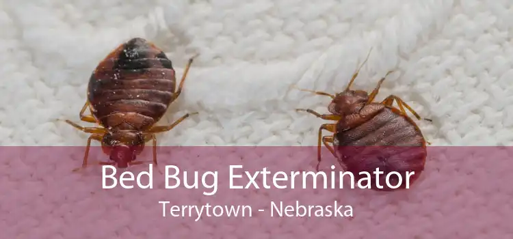 Bed Bug Exterminator Terrytown - Nebraska