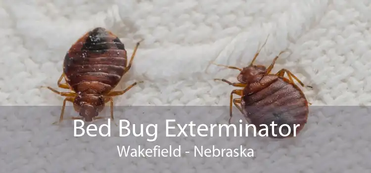 Bed Bug Exterminator Wakefield - Nebraska