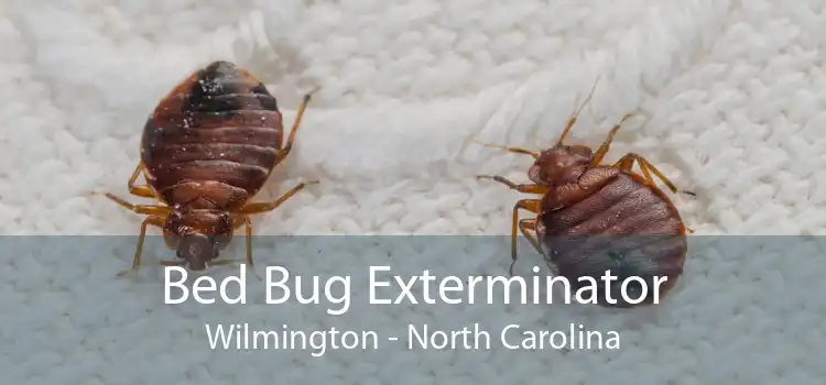 Bed Bug Exterminator Wilmington - North Carolina