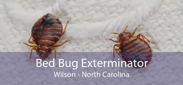 Bed Bug Exterminator Wilson - North Carolina