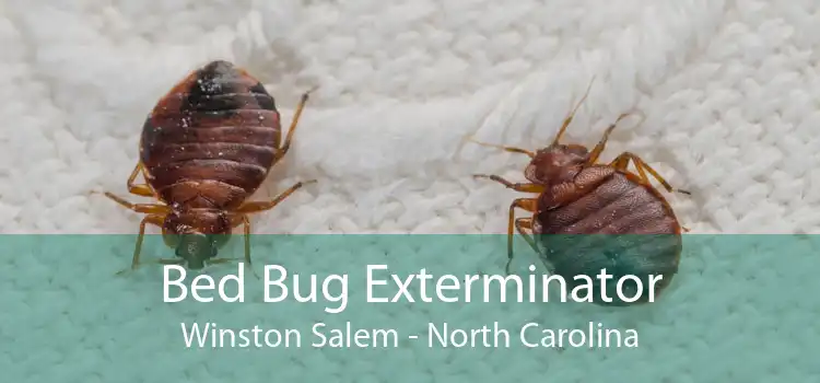 Bed Bug Exterminator Winston Salem - North Carolina