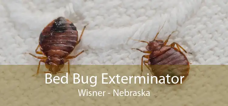 Bed Bug Exterminator Wisner - Nebraska