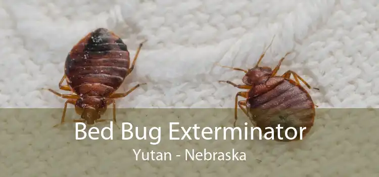 Bed Bug Exterminator Yutan - Nebraska
