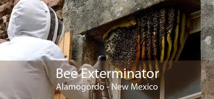 Bee Exterminator Alamogordo - New Mexico