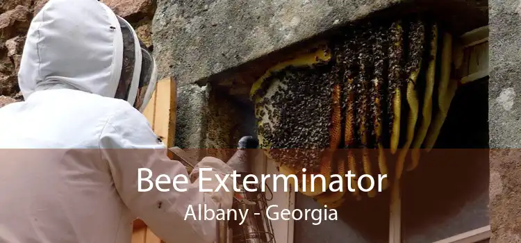 Bee Exterminator Albany - Georgia