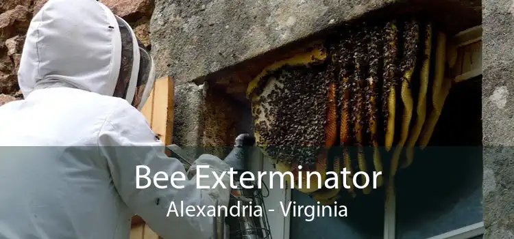 Bee Exterminator Alexandria - Virginia