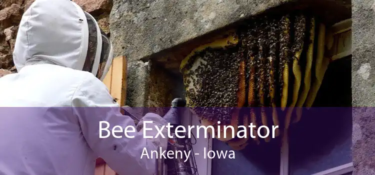 Bee Exterminator Ankeny - Iowa