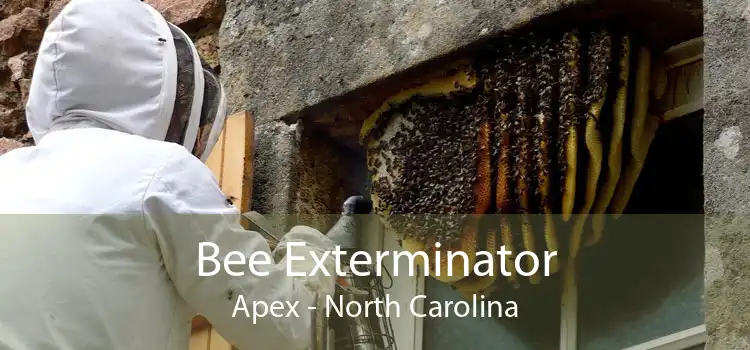 Bee Exterminator Apex - North Carolina