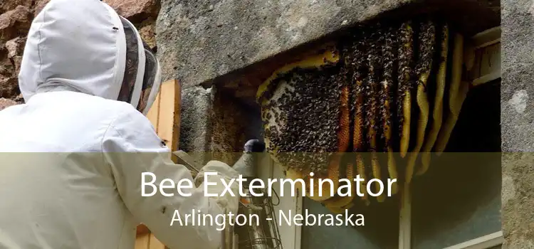 Bee Exterminator Arlington - Nebraska