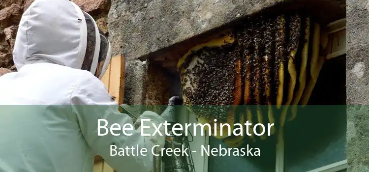 Bee Exterminator Battle Creek - Nebraska