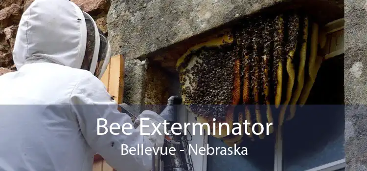 Bee Exterminator Bellevue - Nebraska