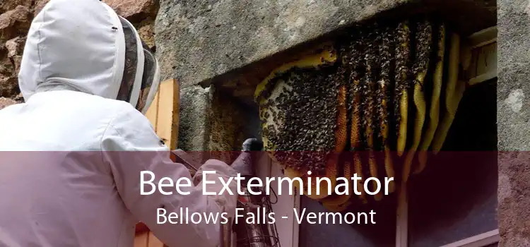 Bee Exterminator Bellows Falls - Vermont