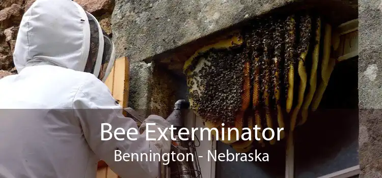 Bee Exterminator Bennington - Nebraska