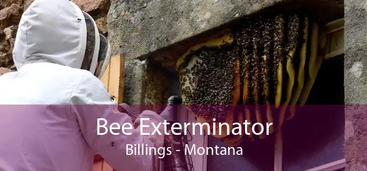 Bee Exterminator Billings - Montana