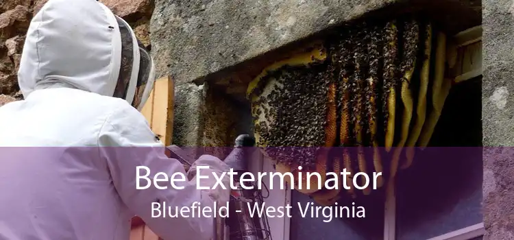 Bee Exterminator Bluefield - West Virginia