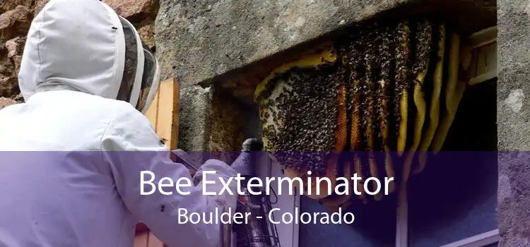 Bee Exterminator Boulder - Colorado