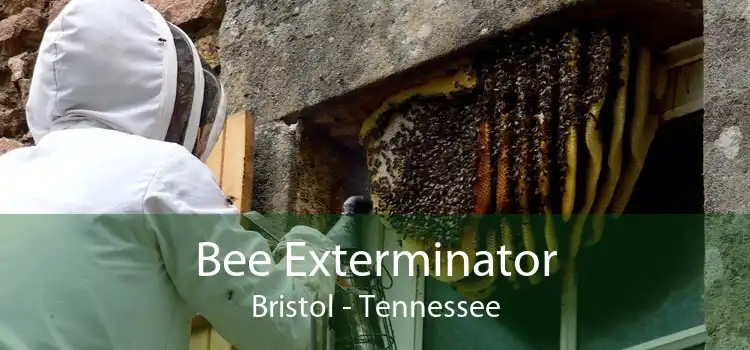 Bee Exterminator Bristol - Tennessee
