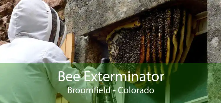 Bee Exterminator Broomfield - Colorado