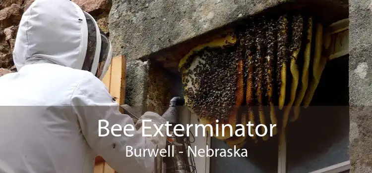 Bee Exterminator Burwell - Nebraska