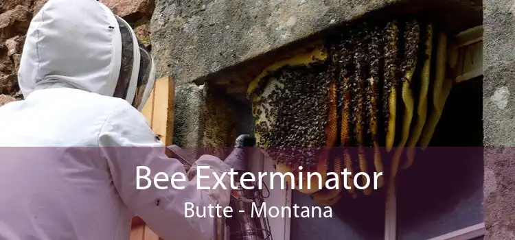 Bee Exterminator Butte - Montana