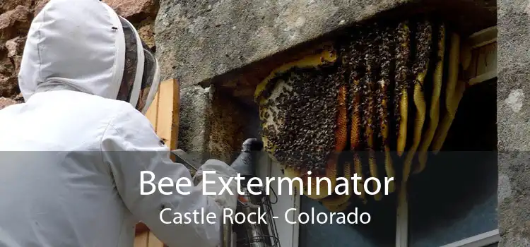 Bee Exterminator Castle Rock - Colorado