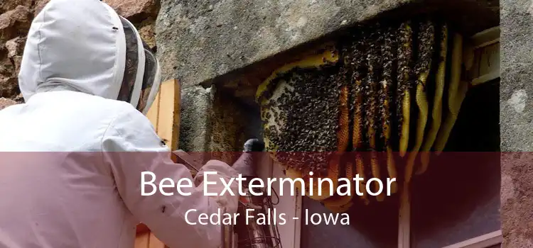 Bee Exterminator Cedar Falls - Iowa