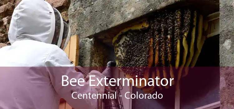 Bee Exterminator Centennial - Colorado