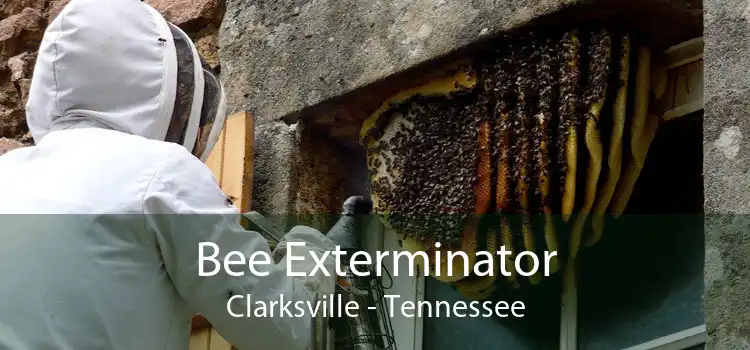 Bee Exterminator Clarksville - Tennessee