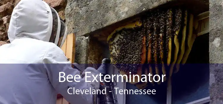 Bee Exterminator Cleveland - Tennessee