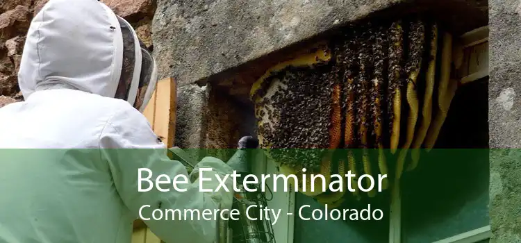 Bee Exterminator Commerce City - Colorado