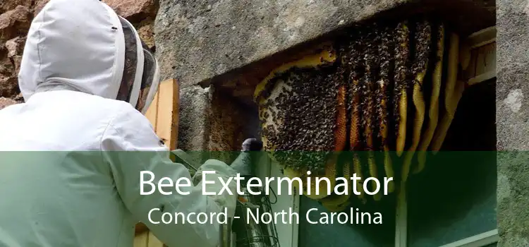 Bee Exterminator Concord - North Carolina