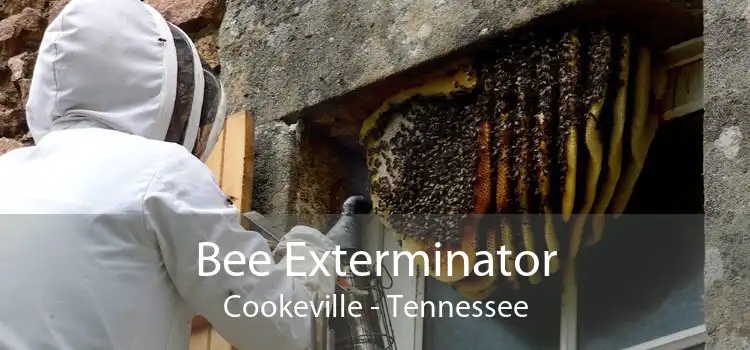 Bee Exterminator Cookeville - Tennessee