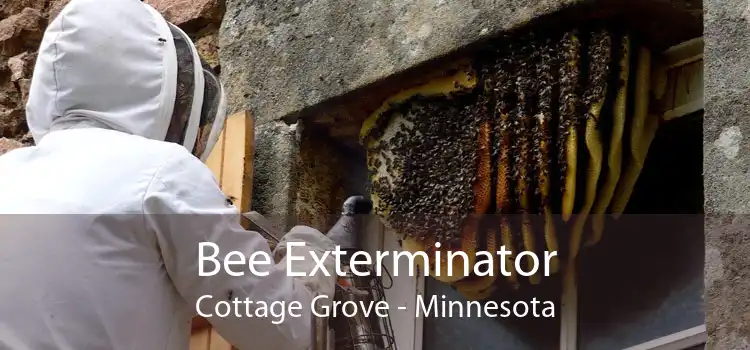Bee Exterminator Cottage Grove - Minnesota