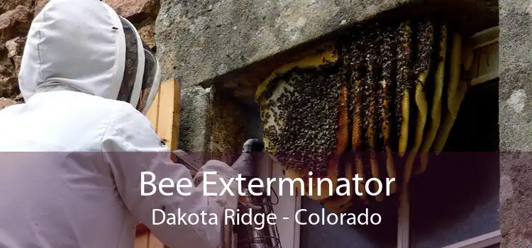 Bee Exterminator Dakota Ridge - Colorado